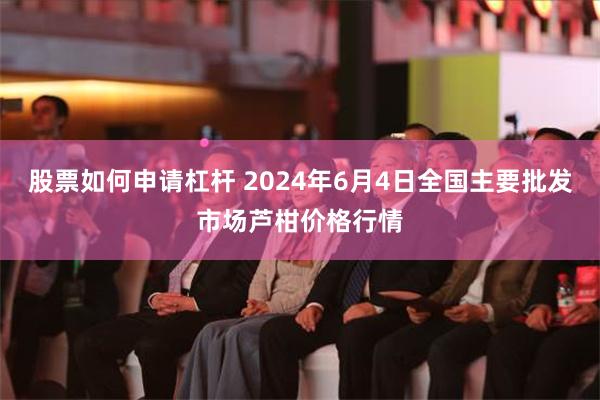 股票如何申请杠杆 2024年6月4日全国主要批发市场芦柑价格行情