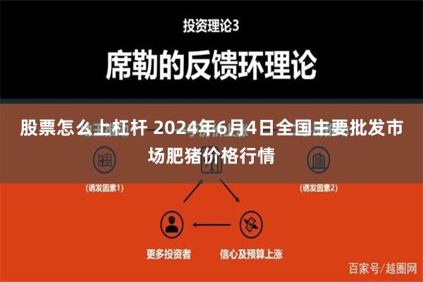 股票怎么上杠杆 2024年6月4日全国主要批发市场肥猪价格行情