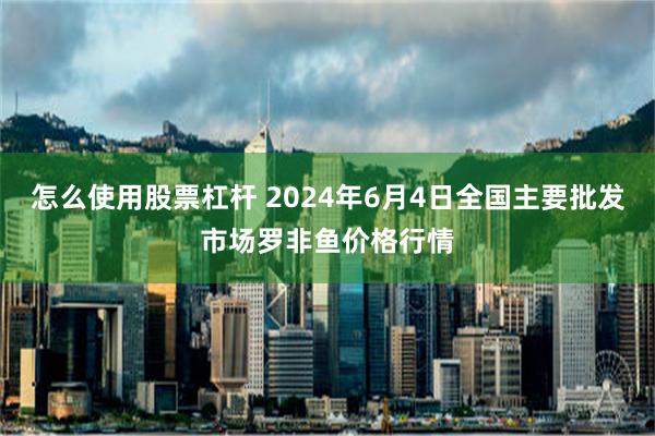 怎么使用股票杠杆 2024年6月4日全国主要批发市场罗非鱼价格行情