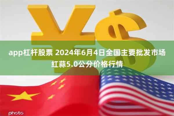 app杠杆股票 2024年6月4日全国主要批发市场红蒜5.0公分价格行情