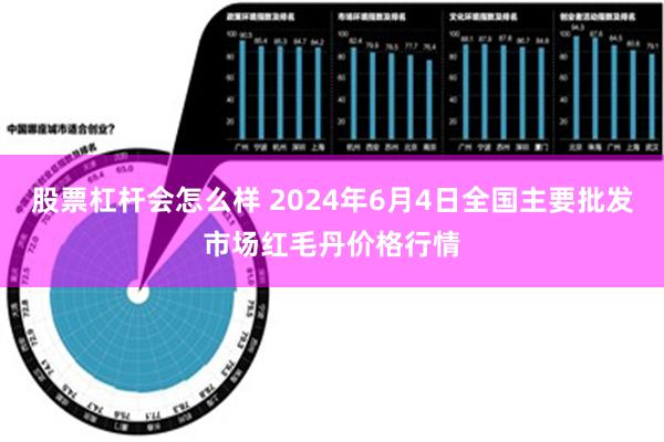 股票杠杆会怎么样 2024年6月4日全国主要批发市场红毛丹价格行情