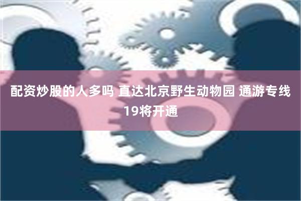 配资炒股的人多吗 直达北京野生动物园 通游专线19将开通