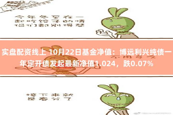 实盘配资线上 10月22日基金净值：博远利兴纯债一年定开债发起最新净值1.024，跌0.07%