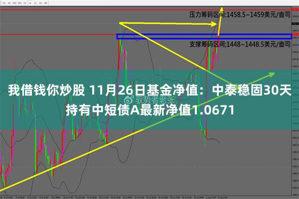 我借钱你炒股 11月26日基金净值：中泰稳固30天持有中短债A最新净值1.0671