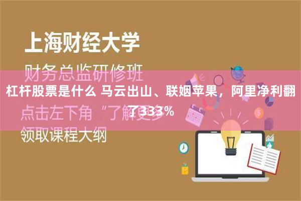 杠杆股票是什么 马云出山、联姻苹果，阿里净利翻了333%